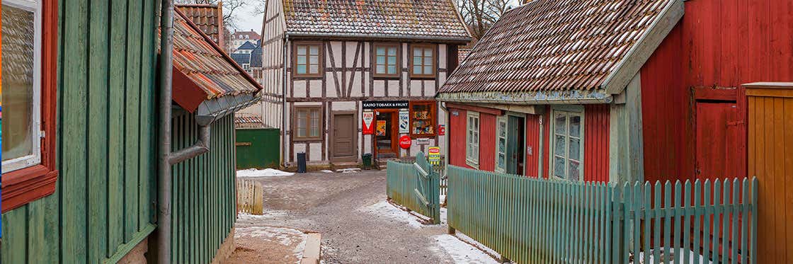 Norsk Folkemuseum